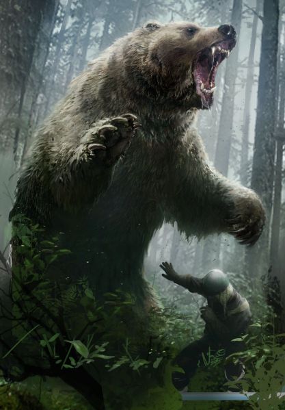 File:Bear.jpg